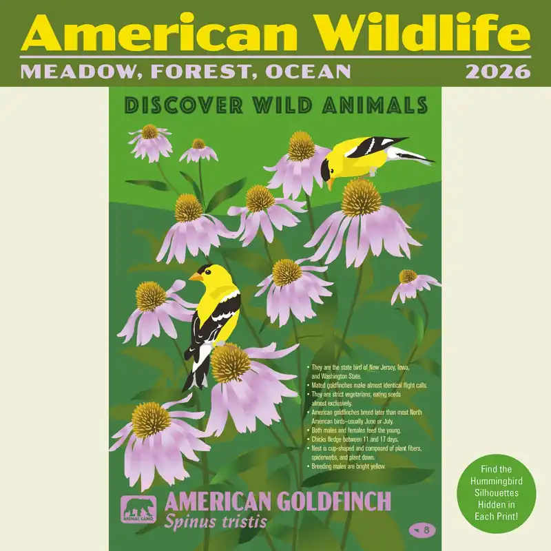 Brand New 2026 American Wildlife Mini Wall Calendar