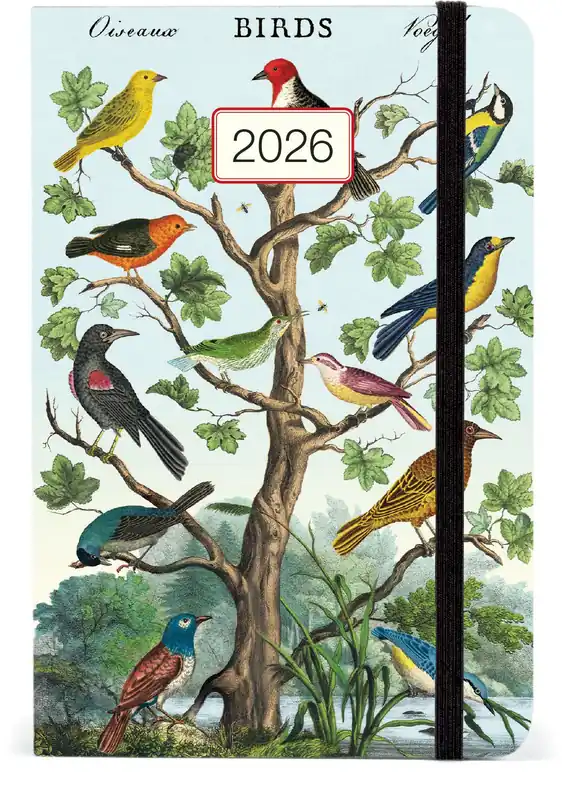 2026 Cavallini Birds Weekly Planner Bulk Order