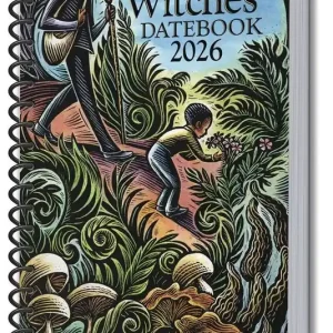 Free Shipping 2026 Llewellyn's Witches Datebook