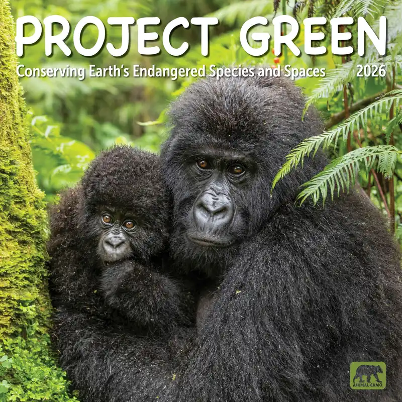 Best Price 2026 Project Green Wall Calendar