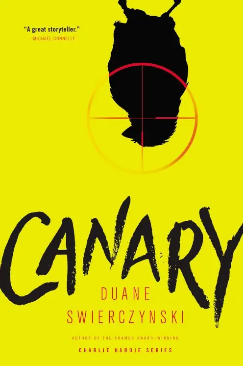 Mega Sale Canary