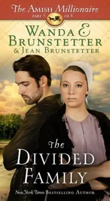 Editor’s Pick Divided Family (The Amish Millionaire Book 5) — Christian Superstore New Zealand