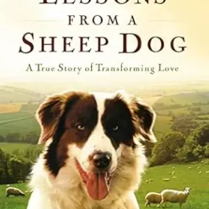 Don’t Miss Out Lessons from a Sheep Dog: A True Story of Transforming Love — Christian Superstore New Zealand