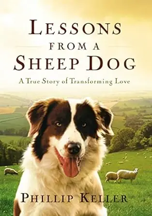 Don’t Miss Out Lessons from a Sheep Dog: A True Story of Transforming Love — Christian Superstore New Zealand