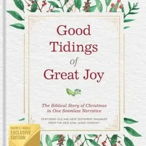 Good Tidings of Great Joy: The Biblical Story of Christmas in One Seam — Christian Superstore New Zealand Affordable