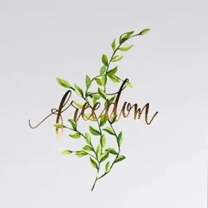 Wholesale Freedom Grove Journal — Christian Superstore New Zealand