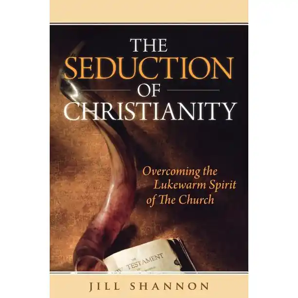 Best Choice Seduction of Christianity : Overcoming the Lukewarm Spirit of the Chur — Christian Superstore New Zealand