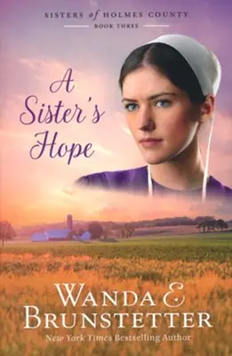 Exclusive Offer Sisters Hope #3 Sisters of Holmes County — Christian Superstore New Zealand