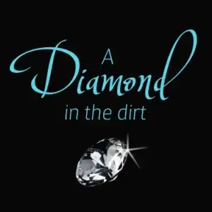 Next Day Delivery A Diamond in the Dirt — Christian Superstore New Zealand