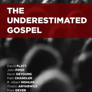 Underestimated Gospel — Christian Superstore New Zealand Handmade