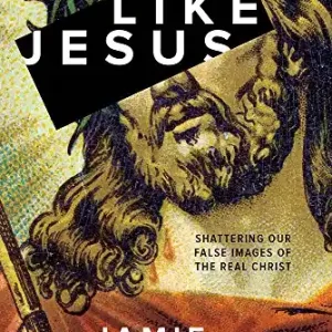 Like Jesus: Shattering Our False Images of the Real Christ — Christian Superstore New Zealand Price Drop