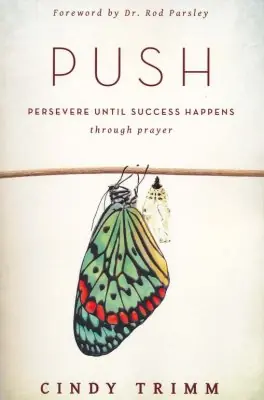 PUSH: Persevering Until Success Happens Through Prayer — Christian Superstore New Zealand Wholesale