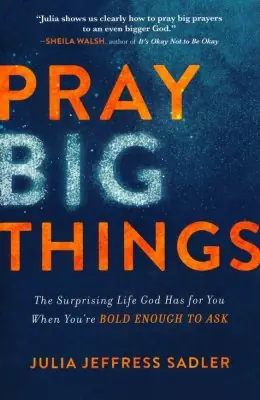 Pray Big Things: The Surprising Life God Has for You When You're Bold— Christian Superstore New Zealand High Quality