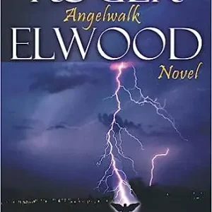Warranty Included Angelwalk - On Holy Ground — Christian Superstore New Zealand
