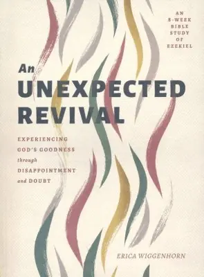 Worldwide Shipping An Unexpected Revival: Experiencing God's Goodness through Disappointm — Christian Superstore New Zealand