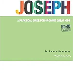 How to Raise a Modern-Day Joseph: A Practical Guide for Growing Great— Christian Superstore New Zealand Big Sale