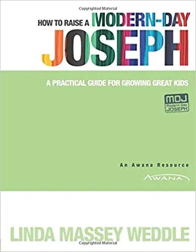 How to Raise a Modern-Day Joseph: A Practical Guide for Growing Great— Christian Superstore New Zealand Big Sale