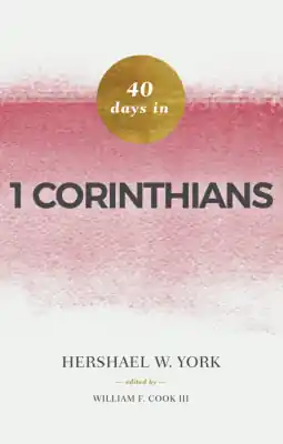 Fast Shipping 40 Days in 1 Corinthians — Christian Superstore New Zealand